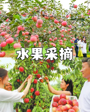 活动图片1